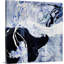 « yin yang », peinture sur toile-1677858352-1678592247