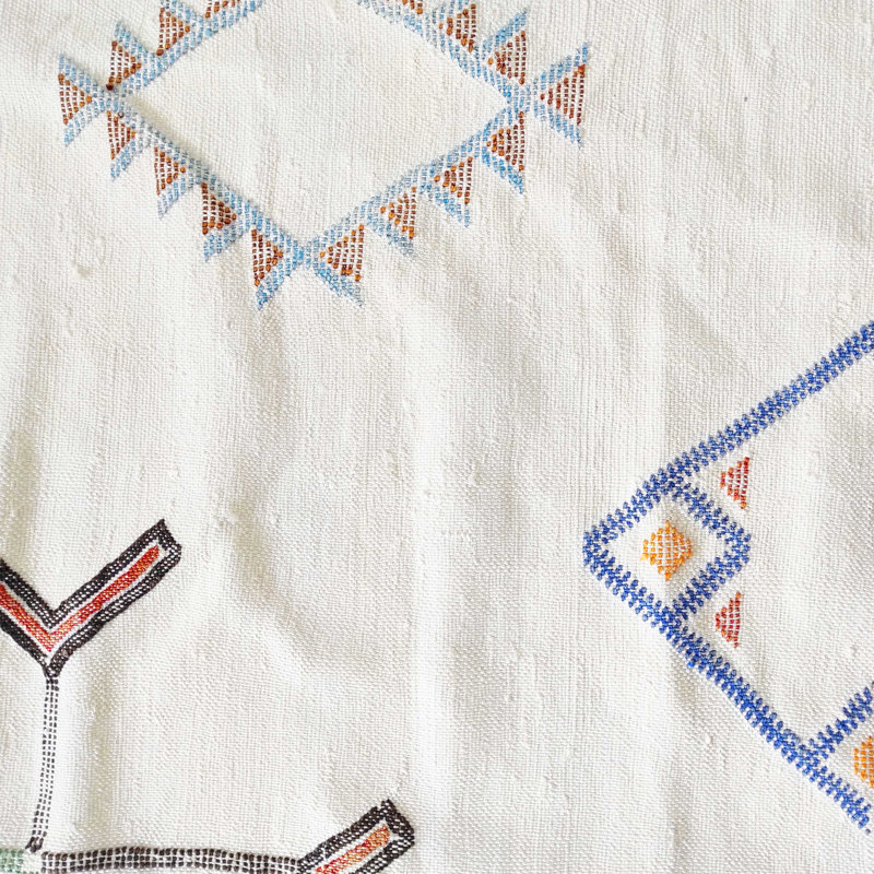 Natural Fibers Moroccan Indoor Rug
