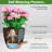 Self Watering Plant Pots Indoor-1507783041