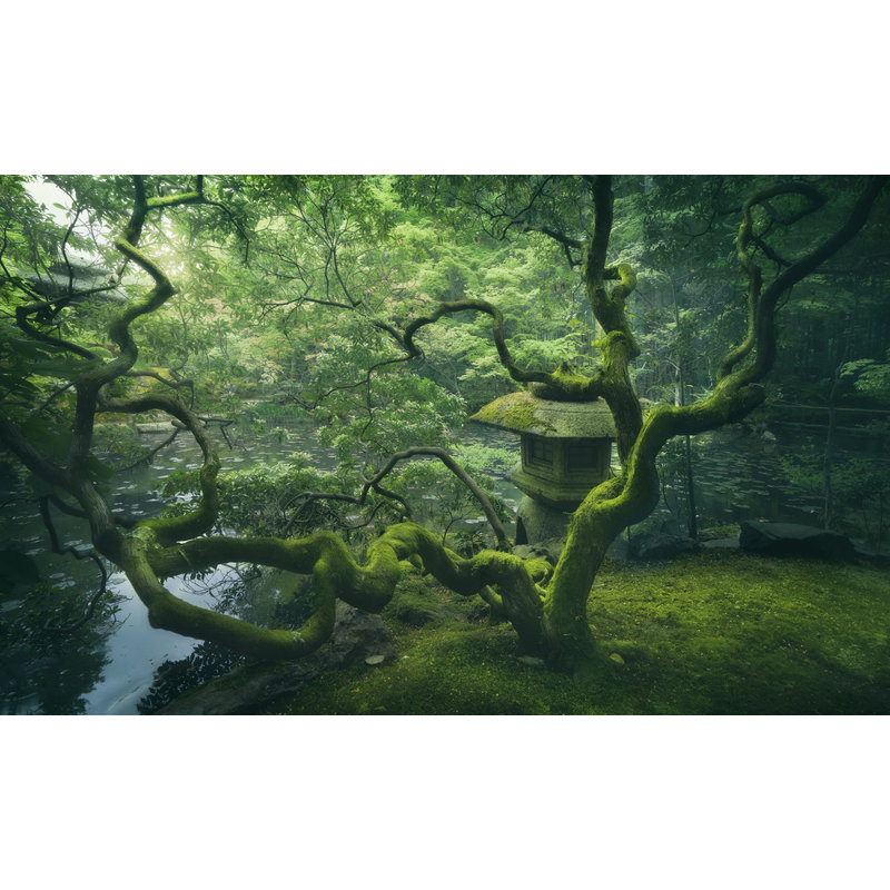 Wrapped Canvas Print, 50.8 cm H x 76.2 cm W