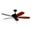 Ventilateur de plafond Kichler Canfield
