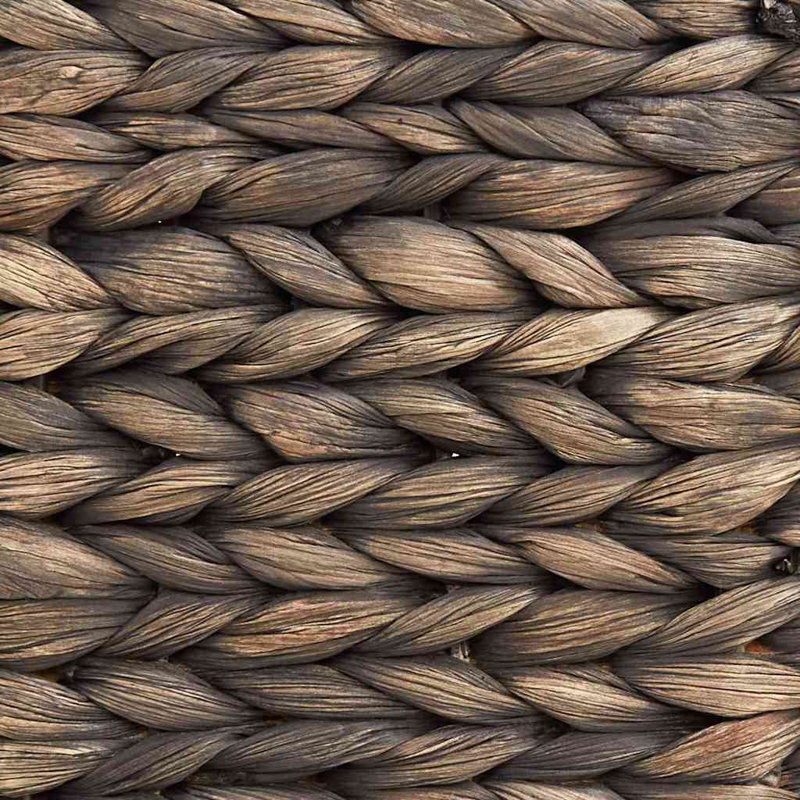 Water Hyacinth Tree Collar