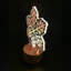 Lampe fantaisie USB en bois massif Brezlyn