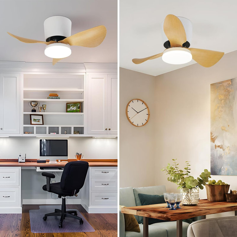 Ceiling Fan with LED Lights, Natural, White