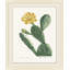 Blooming Cacti 3 Print by Nathan Turner