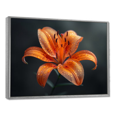 Orange orange, lis noir, photo de printemps IV - lys, art mural