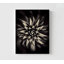 Étoile par Saad Salem, reproduction de photographie de plante moderne, décor de photo de couloir photo, impression de photo de nature, décor de salon, art de petit bureau