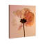Amber Radiance II Floral & Botanical Canvas Print by Oliver Gal, Black Frame, 16 x 20-963216760-963216765