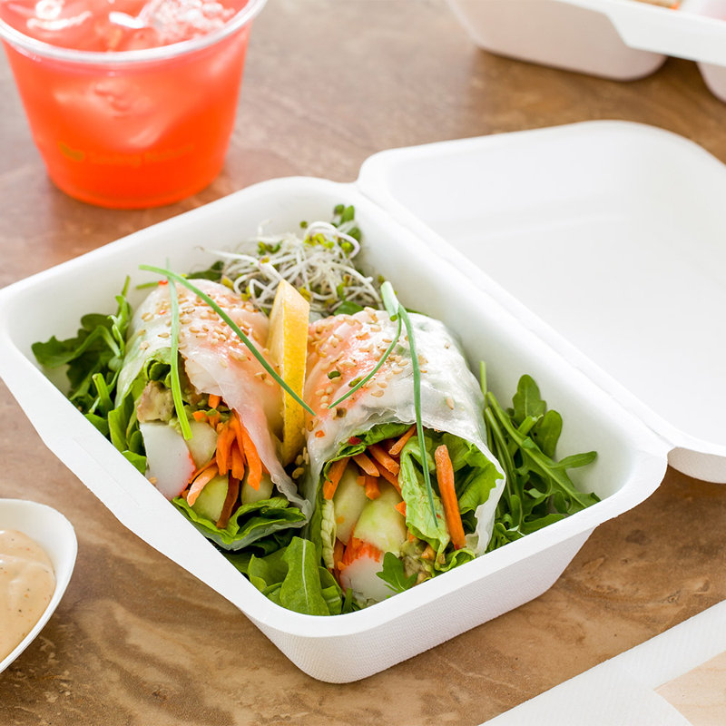 Pulp Tek Plastic Disposable Tableware
