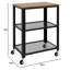 Aleese Metal Bar Cart