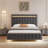 Floating Bed Frame Queen Size With LED Lights