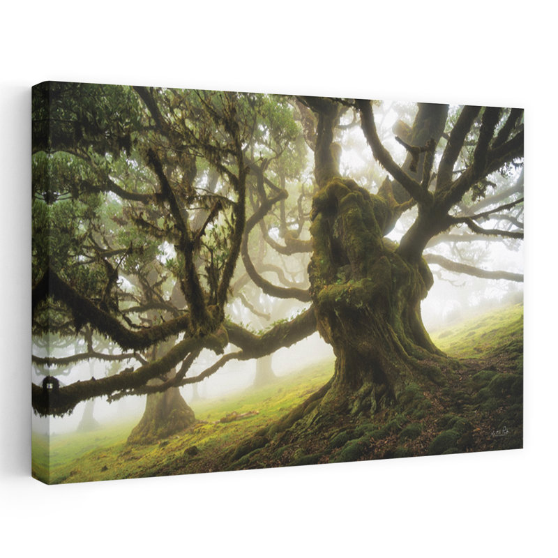 Forest Monster Abstract Contemporary Forest Landscape Art, 24" H x 36" W