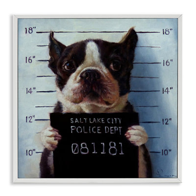 Funny Boston Terrier Dog Jail Convicted Police  By Lucia Heffernan