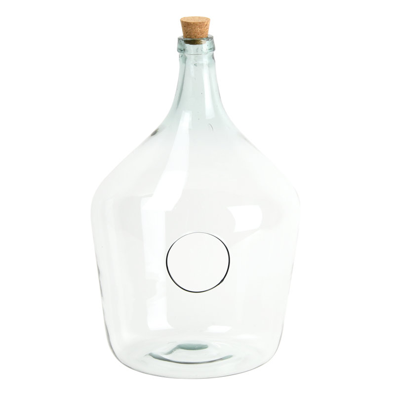 Terrarium en verre Hermina, H 13 po x l 7,8 po x P 7,6 po