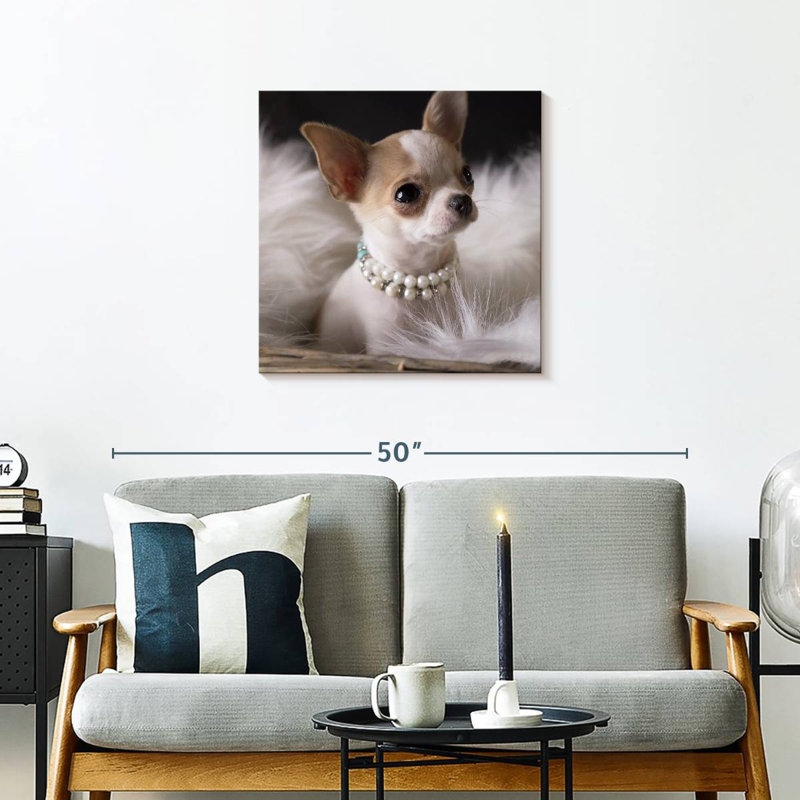 Chihuahua chic Brampt, H 24 po x l 24 po