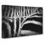 The Stripes Of The Zebra In Abstract - Wrapped Canvas Print-55300007