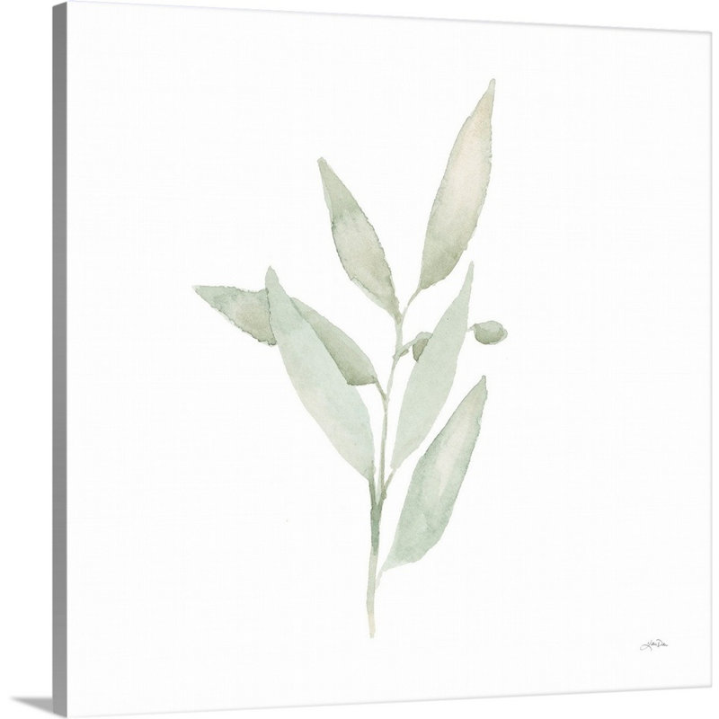 Art mural sur toile Sage II, Toile tendue, H 12 po x l 12 po