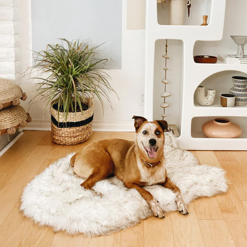Orthopedic Faux Fur Pet Bed, Extra Large (40" W x 25" D x 2.4" H), White with Brown Accents