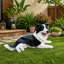 Statue de chien Nathan