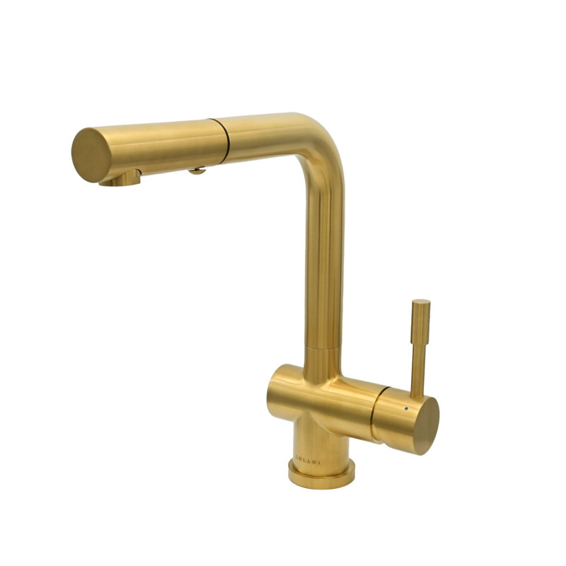 Lulani Nassau Pull Out Kitchen Faucet, Brushed Gold