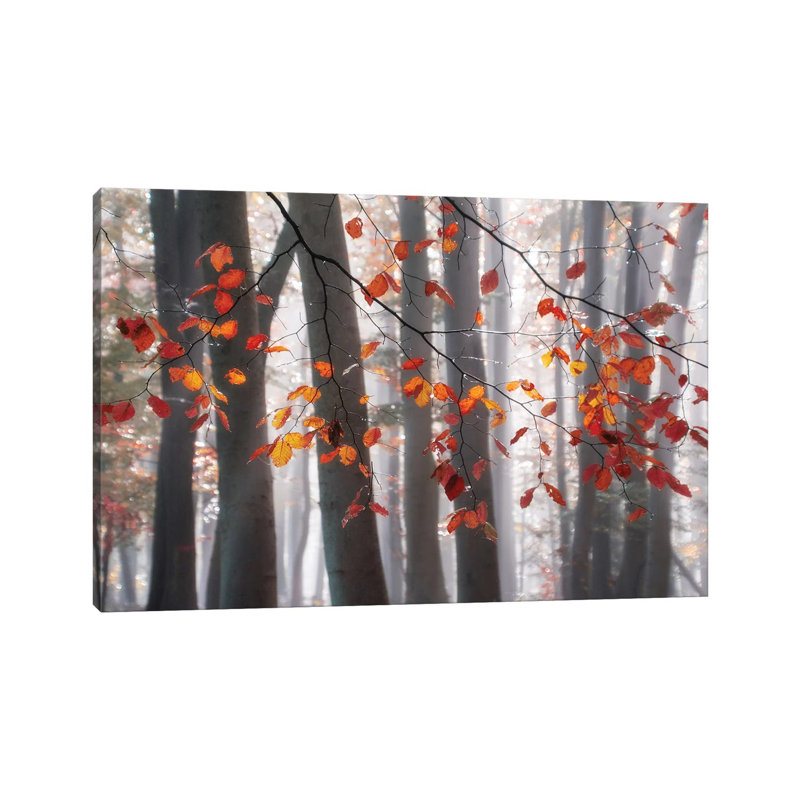 Falling Moments by Irene Weisz - Wrapped Canvas Print, 66.04 cm H x 45.72 cm W x 3.175 cm D