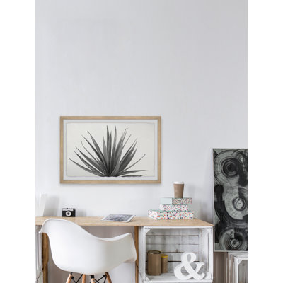 Marginata - Picture Frame Photograph Print
