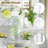 50 Pcs 16oz Clear Plastic Cups