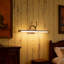 Appliques murales Antler