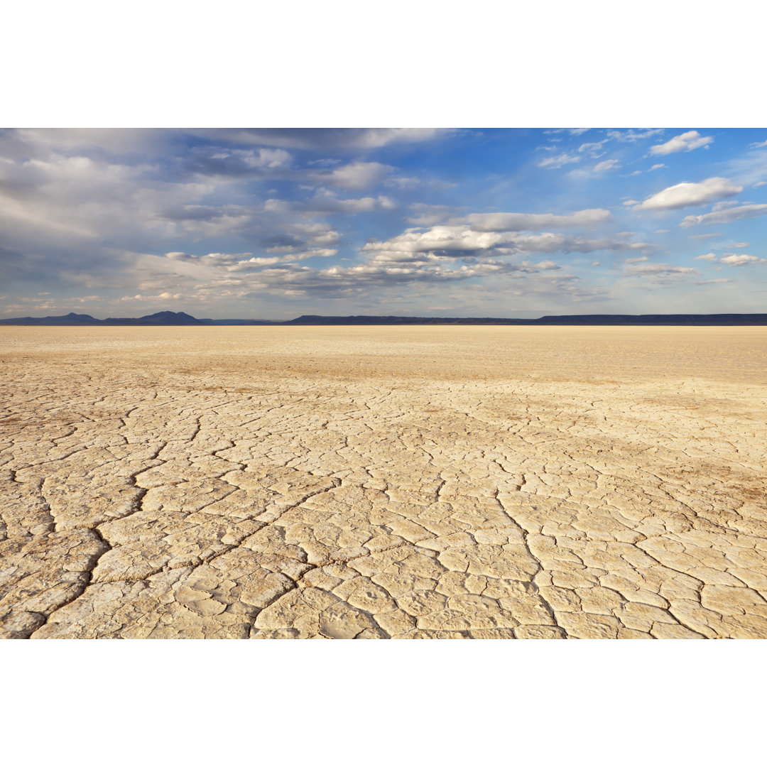 Alvord Desert von Sara_winter - Kunstdrucke auf Leinwand ohne Rahmen