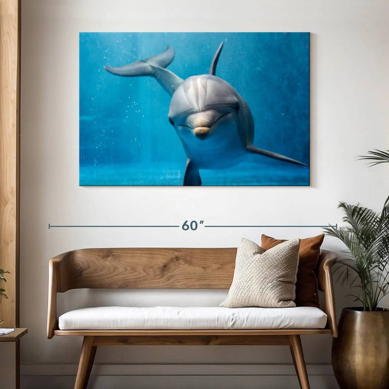 Brampt Friendly Dolphin, 32" H x 48" W
