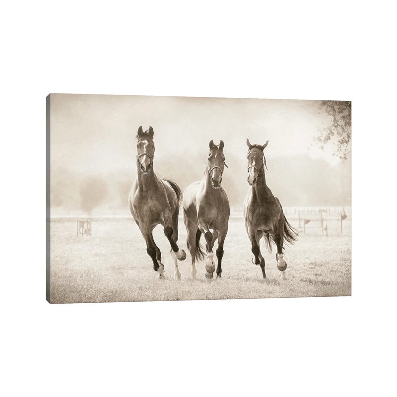 The Young Ones by Lars Van De Goor - Print on Canvas, Wrapped Canvas, 20.32 cm H x 30.48 cm W
