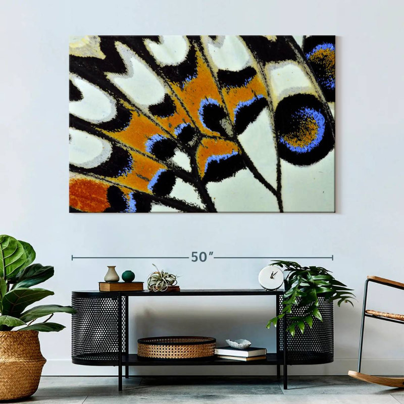 Brampt Butterfly Wing Close Up, 34" H x 51" W