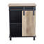 Ellery Steel 1 -Door Accent Cabinet