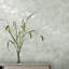Laura Ashley Eglantine Silhouette Wallpaper Roll-463267889