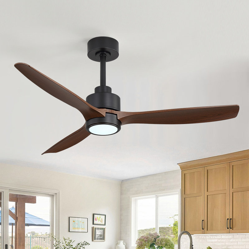 Ventilateurs de plafond 48 po avec éclairage à DEL, ventilateur de plafond imperméable avec télécommande, 3 pales en ABS