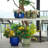 High-quality ceramic flower pots-257918216