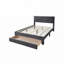 Lit de rangement en velours Mercer41-1483243577-1501985083