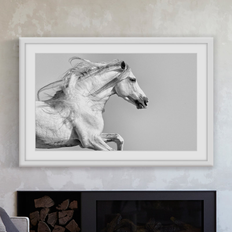 «White Mane», reproduction encadrée, H 30 po x l 45 po x P 1,5 po
