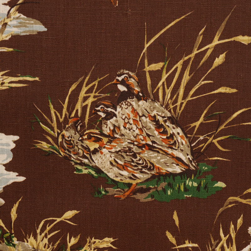 Dog & Duck Fabric, Brown