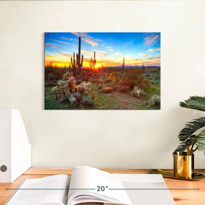 Harnek Desert Cactus Sun Ray, 8" H x 12" W
