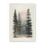 Ensemble de 3 pièces encadrées sur papier Mystique Forest-145425119-145425118