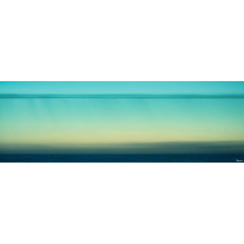 Parvez Taj - Wrapped Canvas Print, 51cm H x 152cm W