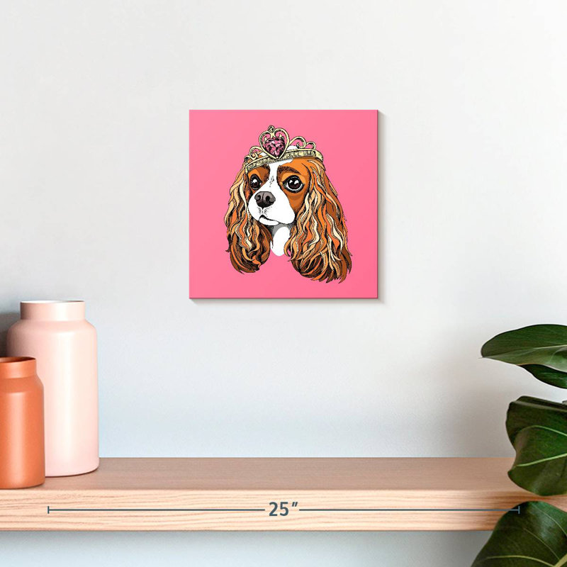 Crowle Princess Spaniel, H 10 po x l 10 po