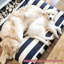 Coussin Villa-1436887170-1436887410