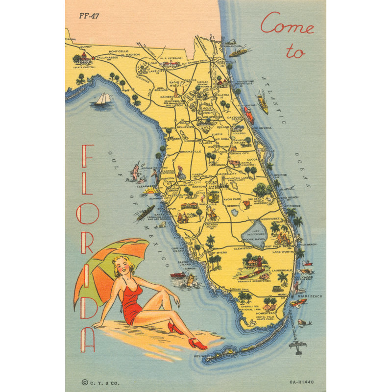 Florida Postcard VI by Wild Apple Portfolio - Wrapped Canvas Print, 76cm H x 51cm W