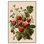 Strawberry Softness I, impressions sur toile par Art Remedy