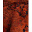 Tapis orange 4 pi 2 po x 5 pi 9 po Dmarcus
