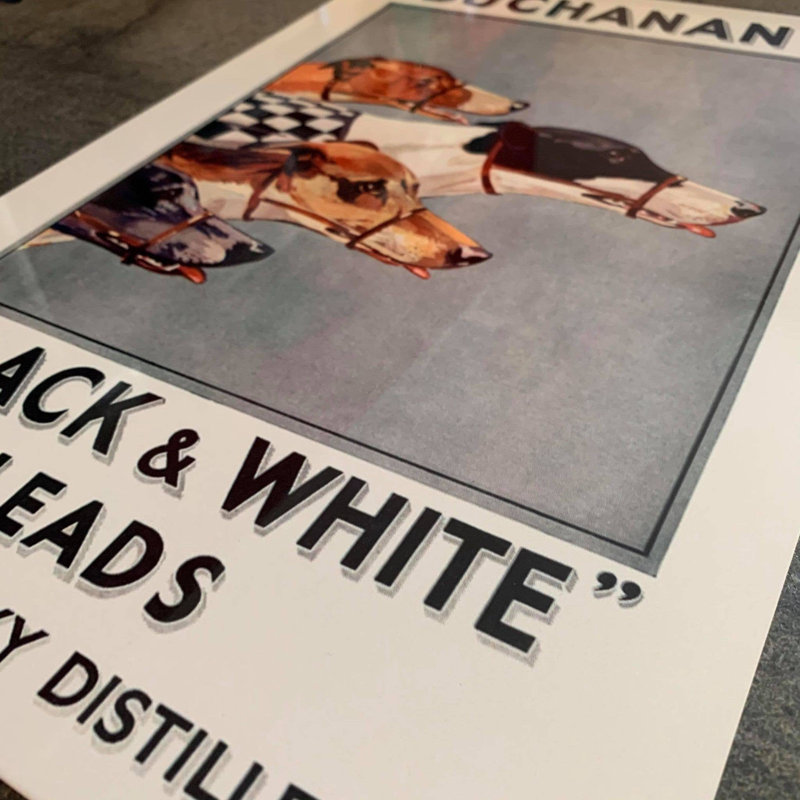 Buchanan's Black And White Scotch Whiskey - No Frame Print on Metal