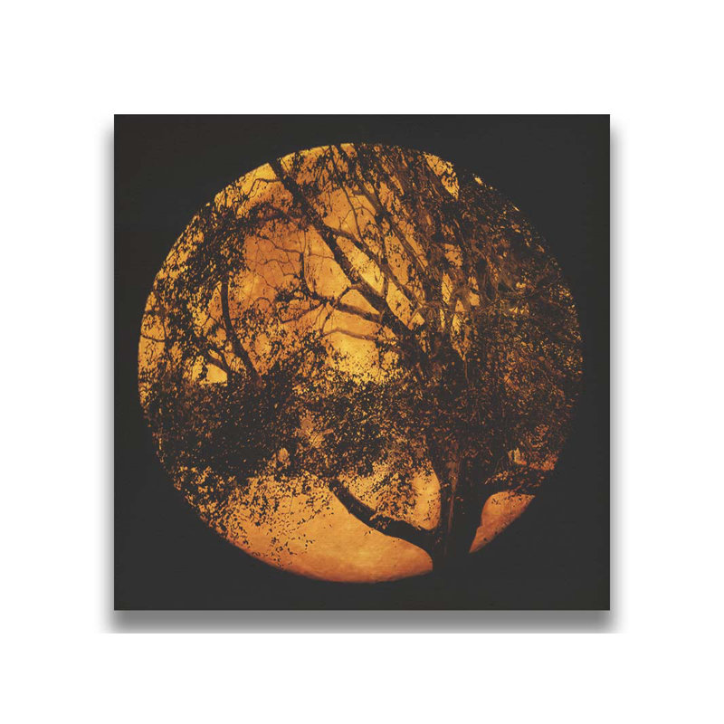 "T'was A Night" par Hal Halli on, Toile tendue, Non, H 10 po x l 10 po