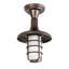 1 - Light Flush Mount